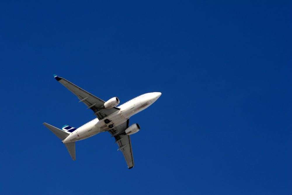 Regole delle compagnie aeree per volare in gravidanza